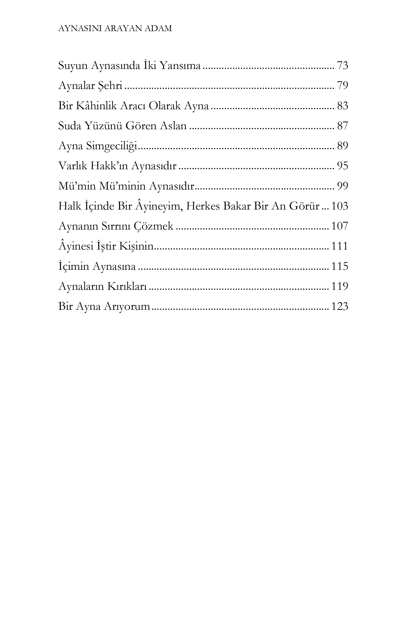 ÖN_15_AYNASINI ARAYAN ADAM-2