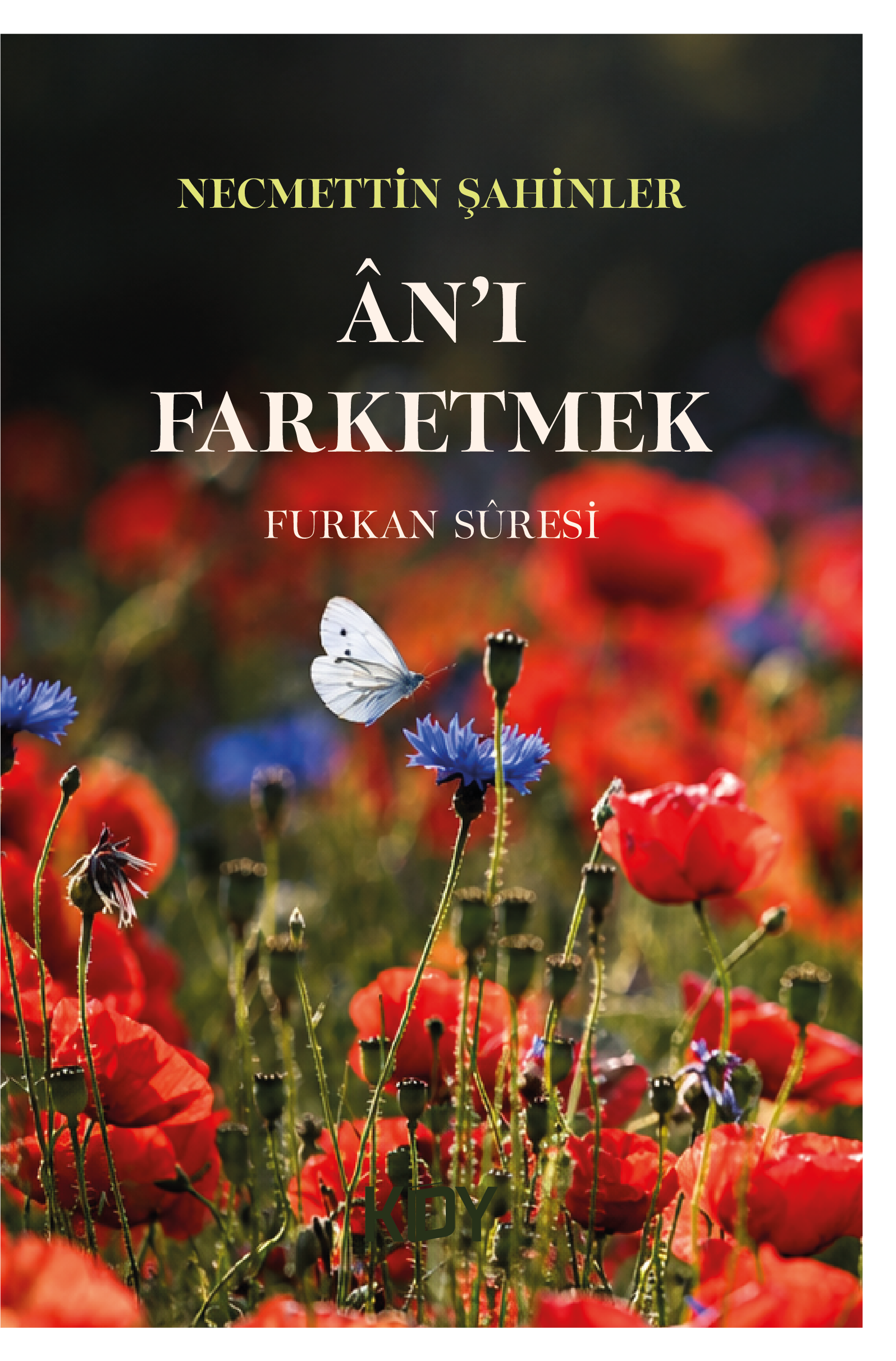 KDY-130x195-kapak_Anı Farketmek Furkan_20261003 gorsel